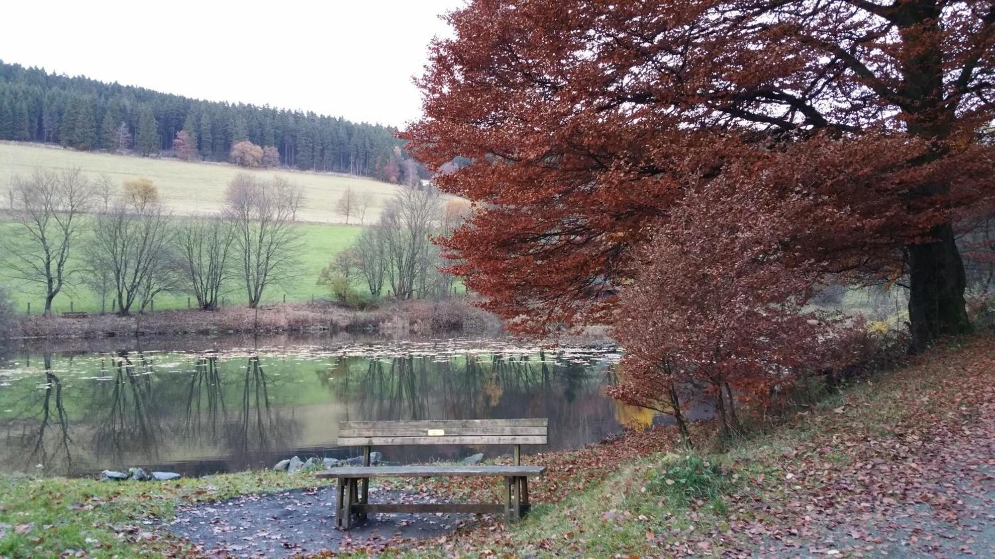 Pension Sonnenheim Winterberg Exterior photo